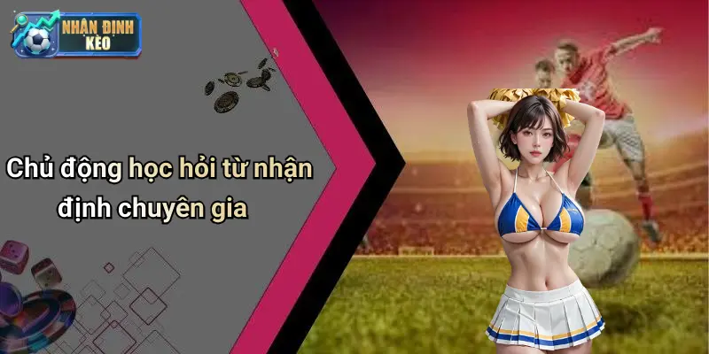 Chủ động học hỏi từ nhận định chuyên gia
