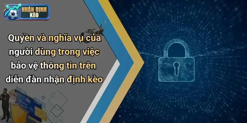 Quyền và nghĩa vụ của người dùng trong việc bảo vệ thông tin trên diễn đàn nhận định kèo