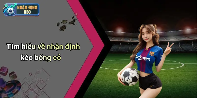 Tìm hiểu về nhận định kèo bóng cỏ