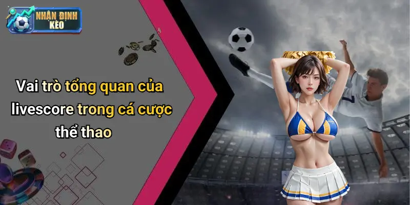 Vai trò tổng quan của livescore trong cá cược thể thao