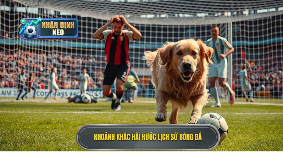 3. Khoảnh khắc hài hước lịch sử bóng đá