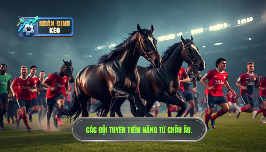 Những "ngựa ô" và các đội tuyển tiềm năng từ châu Âu