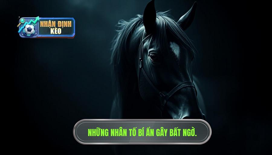 Những nhân tố có thể gây bất ngờ (Dark Horses)